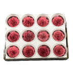 Trandafiri de gradina AMELIA VIO-02 (Ø3-4cm, set 12 buc /cutie) - DepozituldeCriogenati.ro