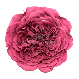 Trandafiri de gradina AMELIA VIO-02 (Ø3-4cm, set 12 buc /cutie) - DepozituldeCriogenati.ro