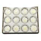 Trandafiri de gradina AMELIA WHI-01 (Ø3-4cm, set 12 buc /cutie) - DepozituldeCriogenati.ro