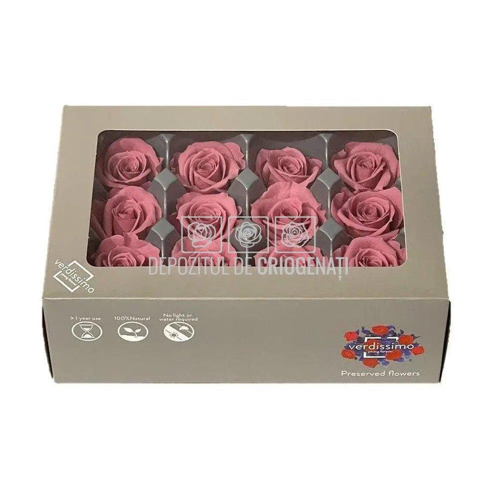 Trandafiri MINI CHERRY BLOSSOM (Ø3,5-4,5cm, set 12 buc) - DepozituldeCriogenati.ro