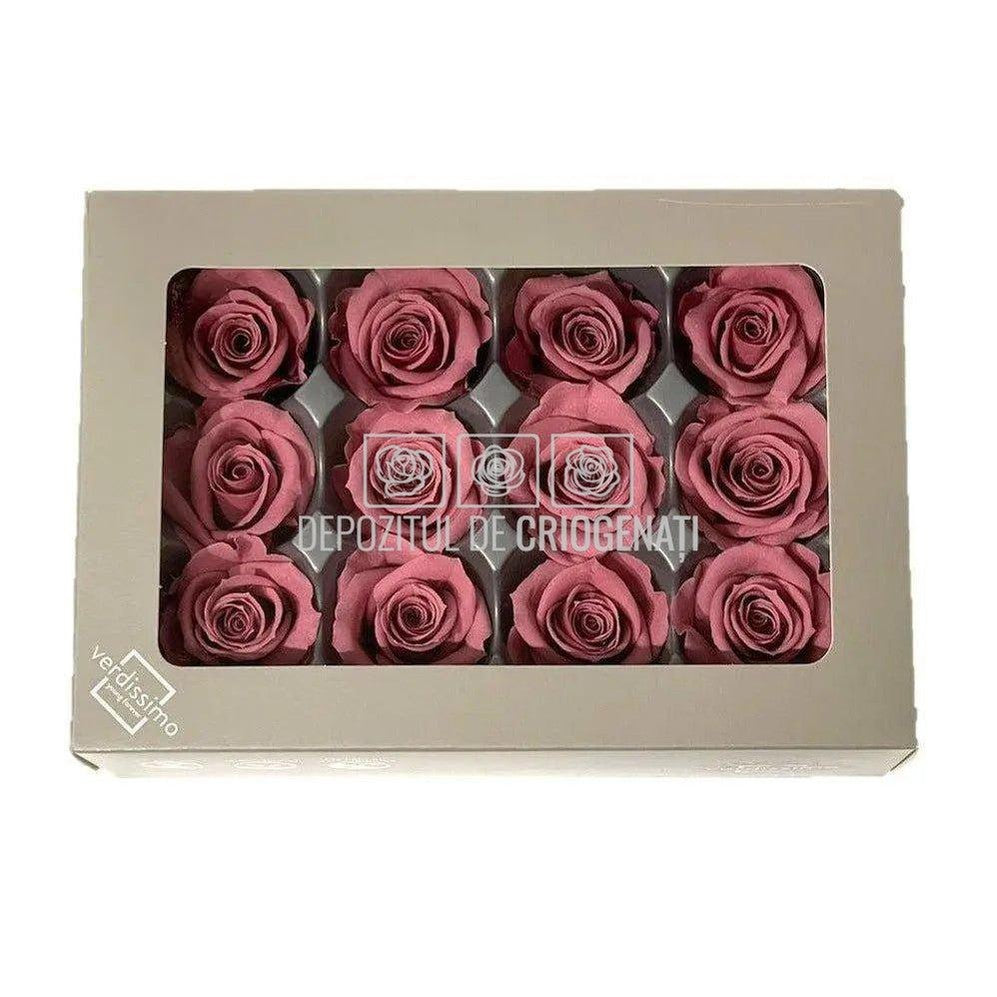 Trandafiri MINI CHERRY BLOSSOM (Ø3,5-4,5cm, set 12 buc) - DepozituldeCriogenati.ro