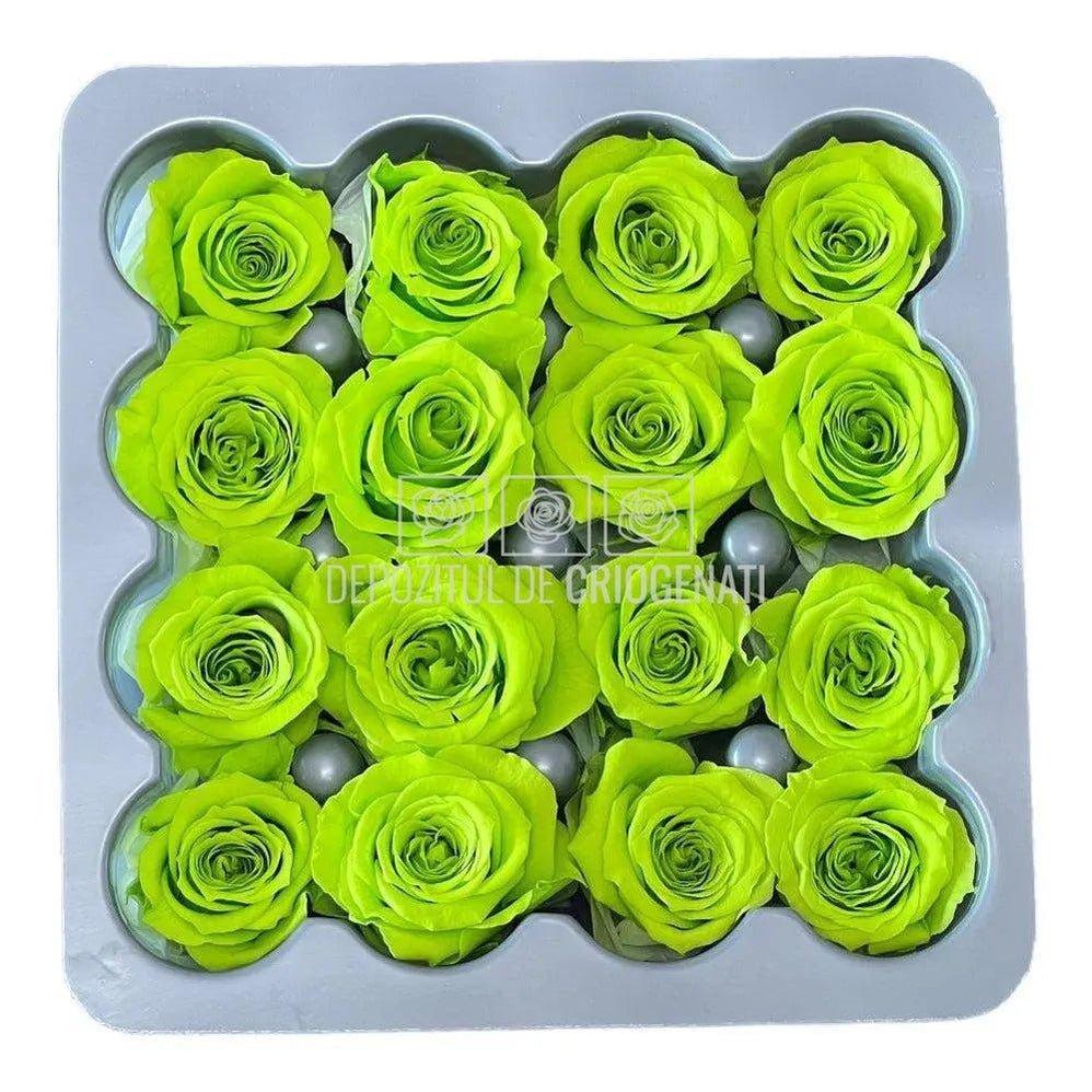 Trandafiri PRINCESS LIME GREEN (Ø2,5-3cm, set 16 buc /cutie) - DepozituldeCriogenati.ro
