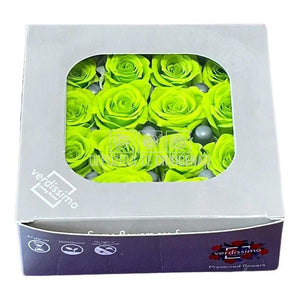 Trandafiri PRINCESS LIME GREEN (Ø2,5-3cm, set 16 buc /cutie) - DepozituldeCriogenati.ro