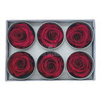 Trandafiri STANDARD BURGUNDY (dia. 5-5,5cm; set 6 buc /cutie)