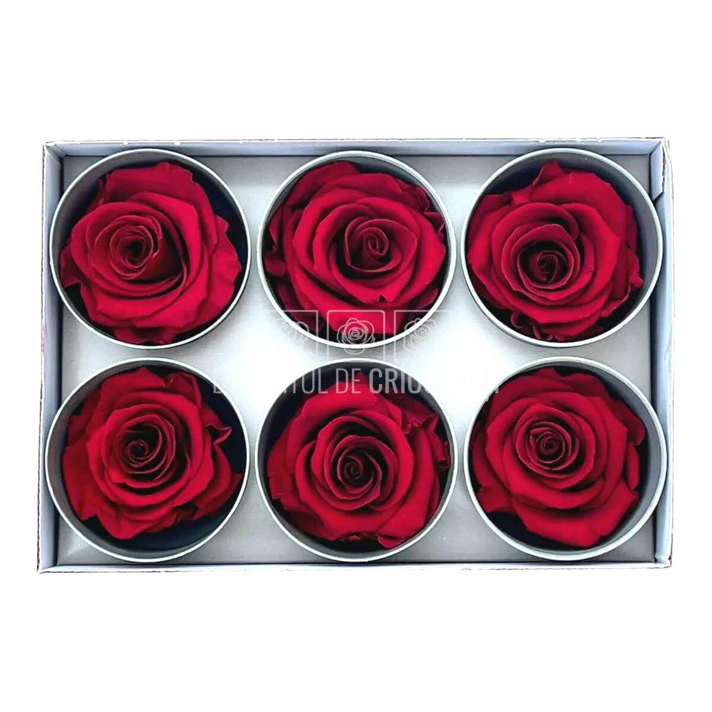 Trandafiri STANDARD RED (Ø5-5,5cm; set 6 buc /cutie) - DepozituldeCriogenati.ro