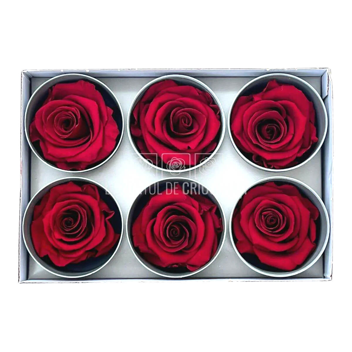Trandafiri STANDARD RED (Ø5-5,5cm; set 6 buc /cutie) - DepozituldeCriogenati.ro
