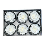 Trandafiri STANDARD WHITE (Ø5-5,5cm; set 6 buc /cutie) - DepozituldeCriogenati.ro